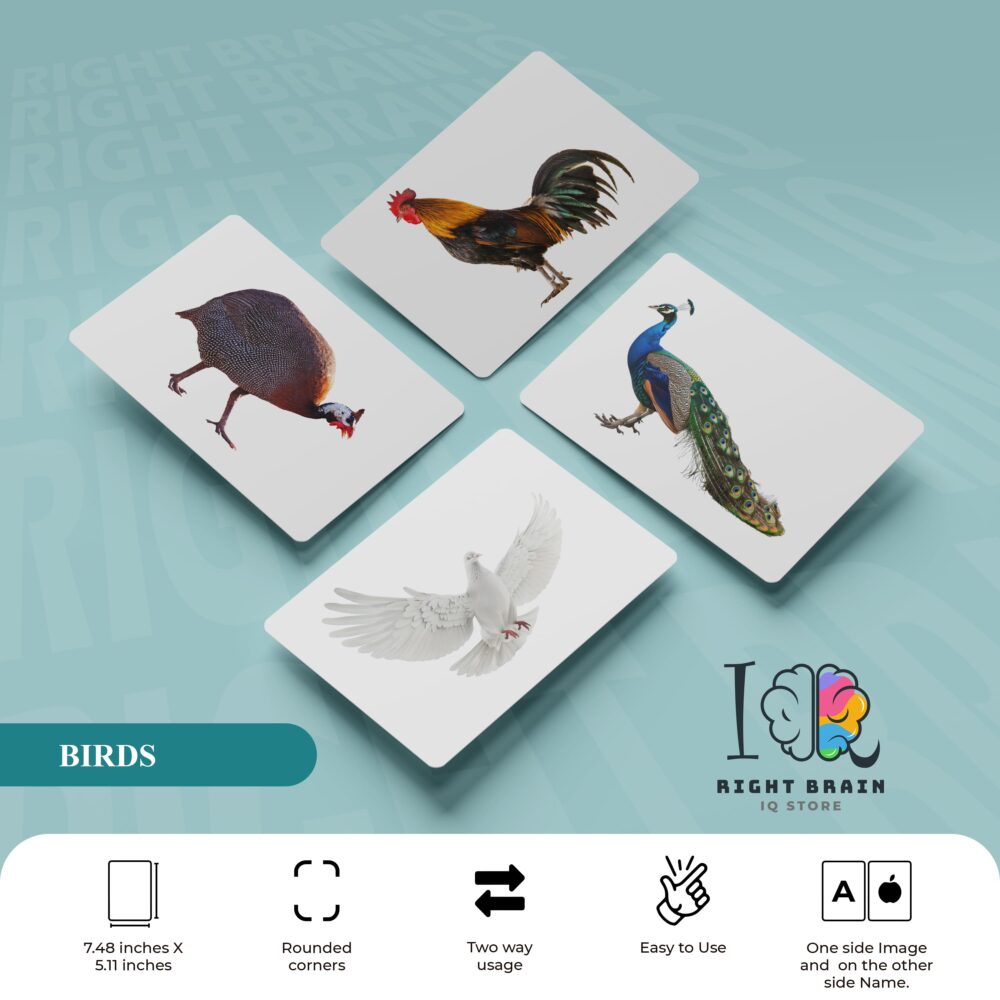 BIRDS
