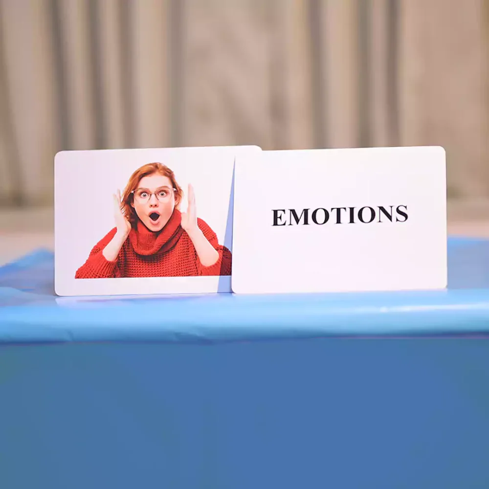 EMOTIONS - Image 2