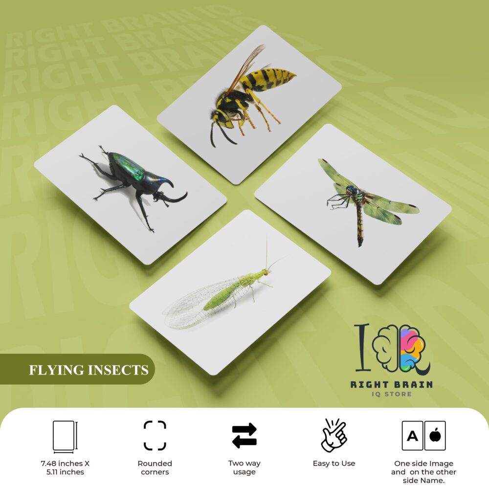 FLYING INSECTS