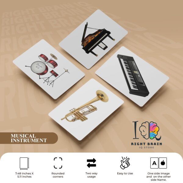 MUSICAL INSTRUMENT