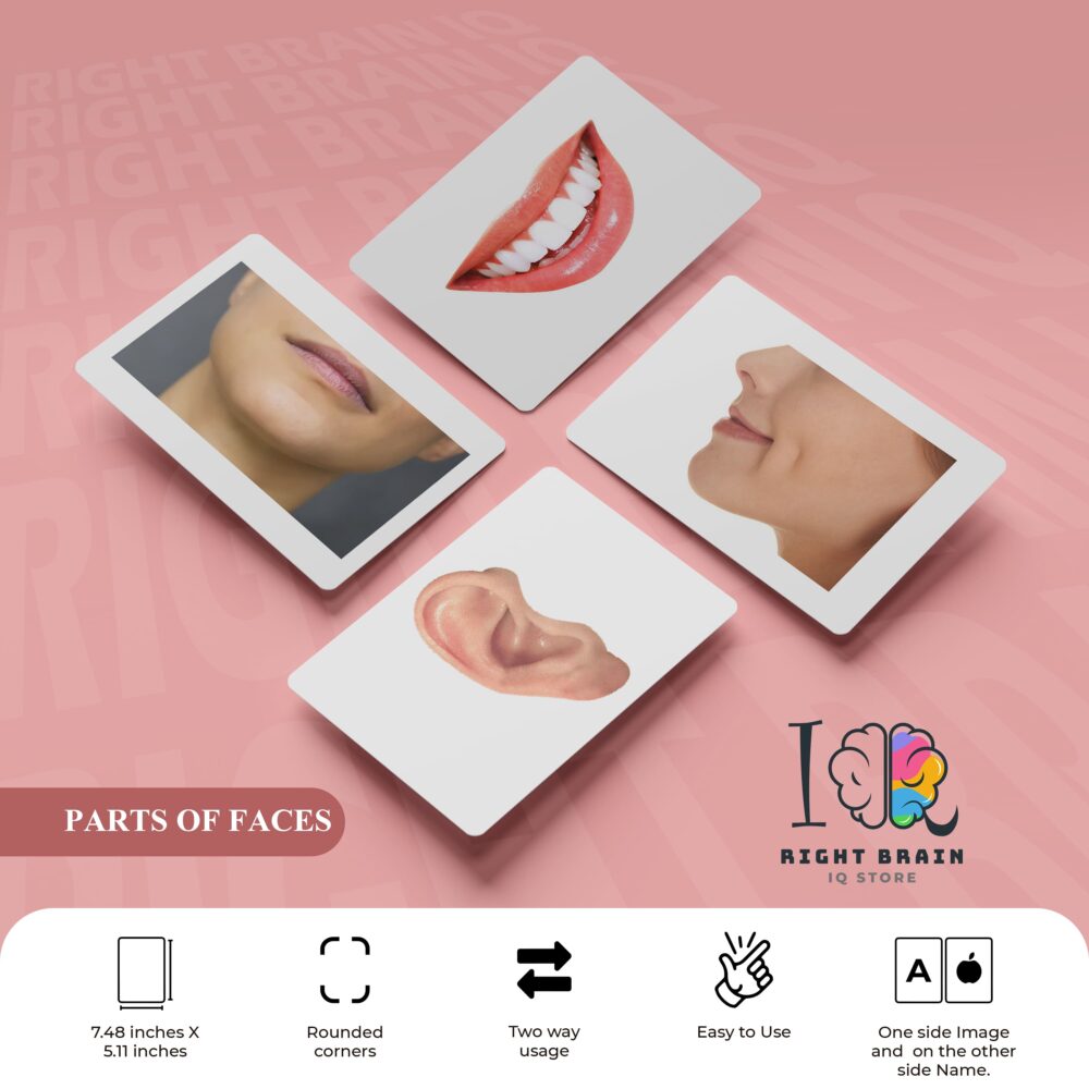 PARTS OF FACES