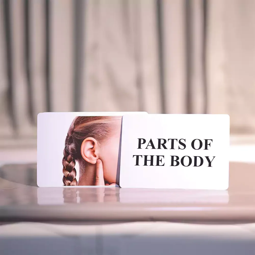 BODY PARTS - Image 2