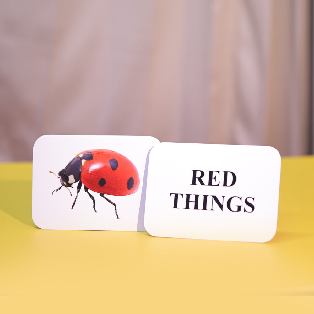RED THINGS - Image 2