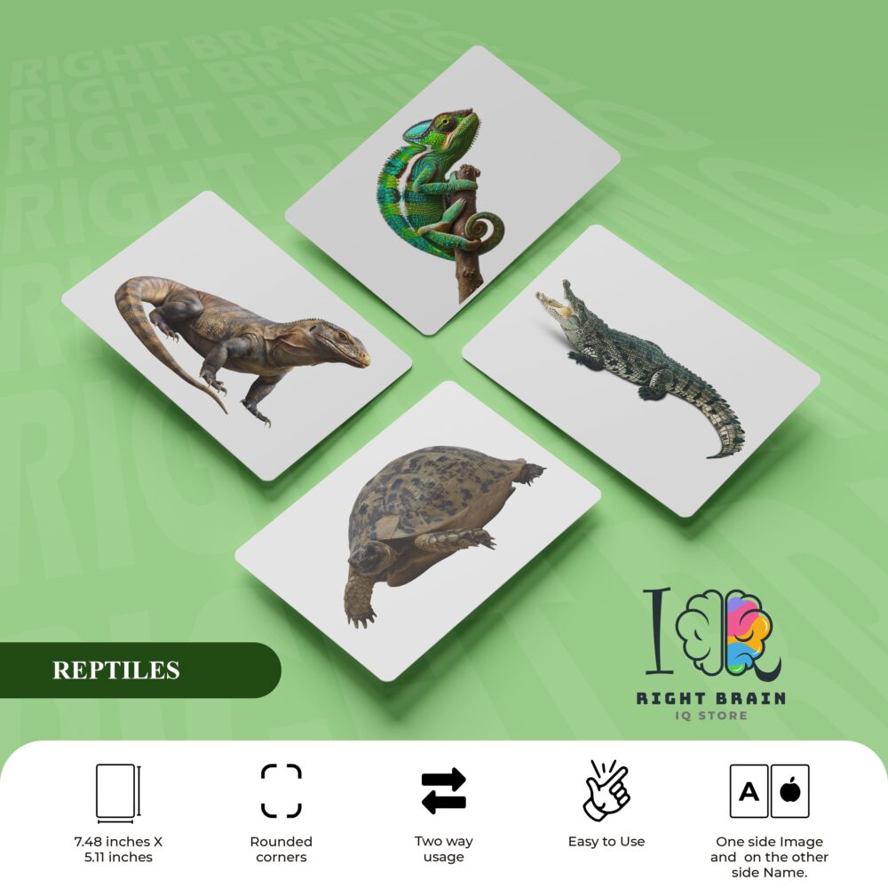 REPTILES