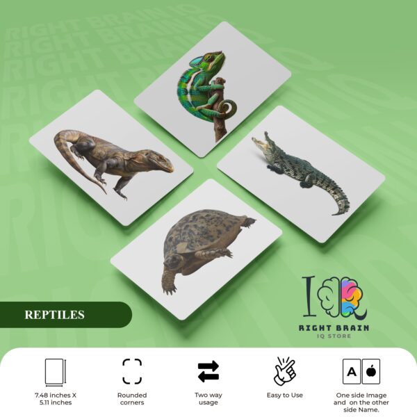 REPTILES