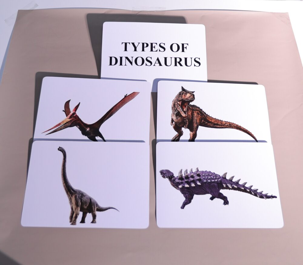 TYPES OF DINOSAURUS