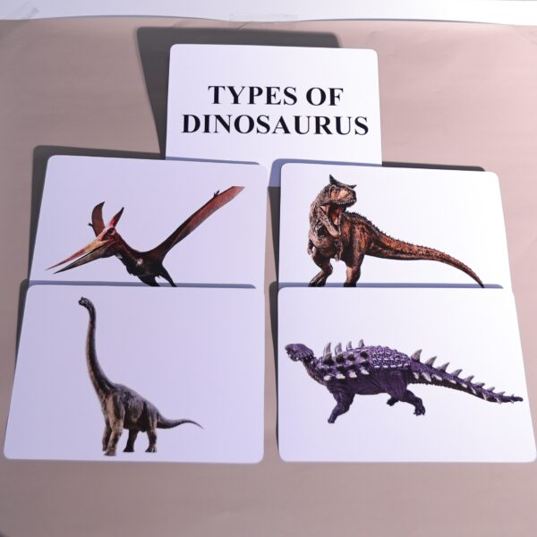 TYPES OF DINOSAURUS