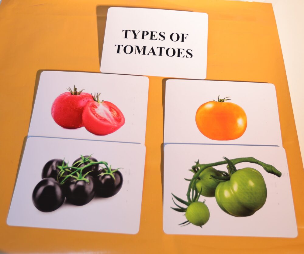TYPES OF TOMATOES