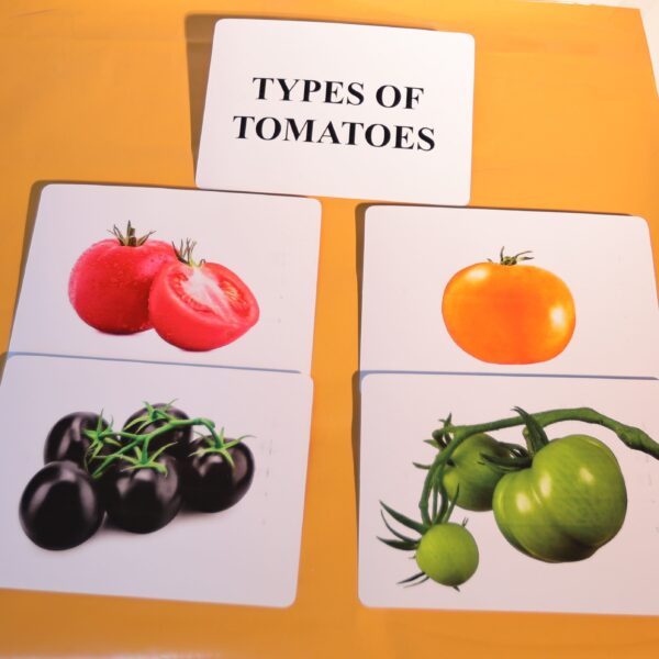TYPES OF TOMATOES