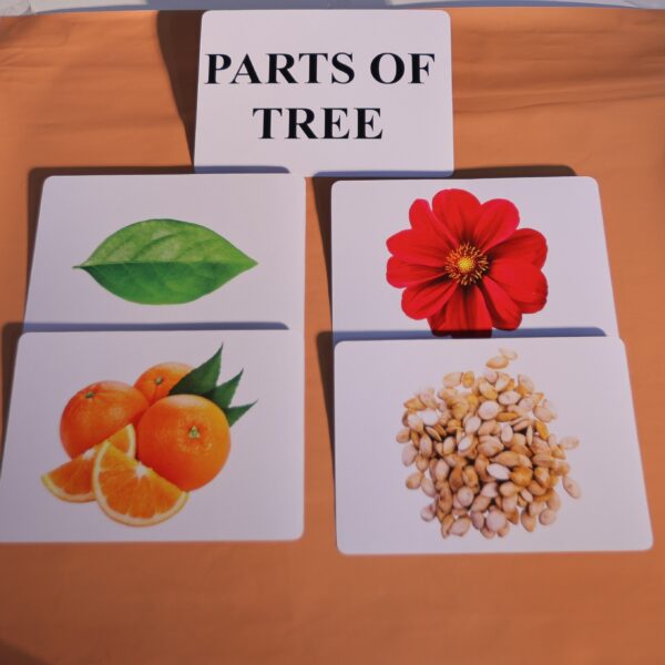 TREE PARTS