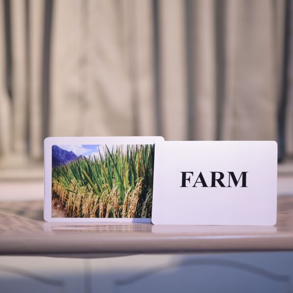 Farm