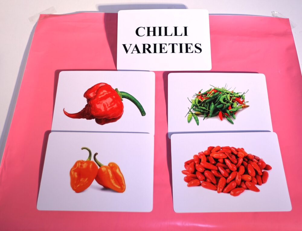 CHILLI VARIETIES