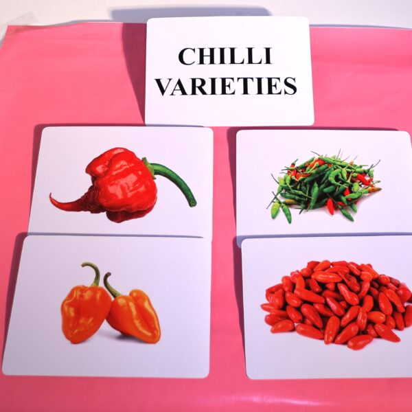 CHILLI VARIETIES