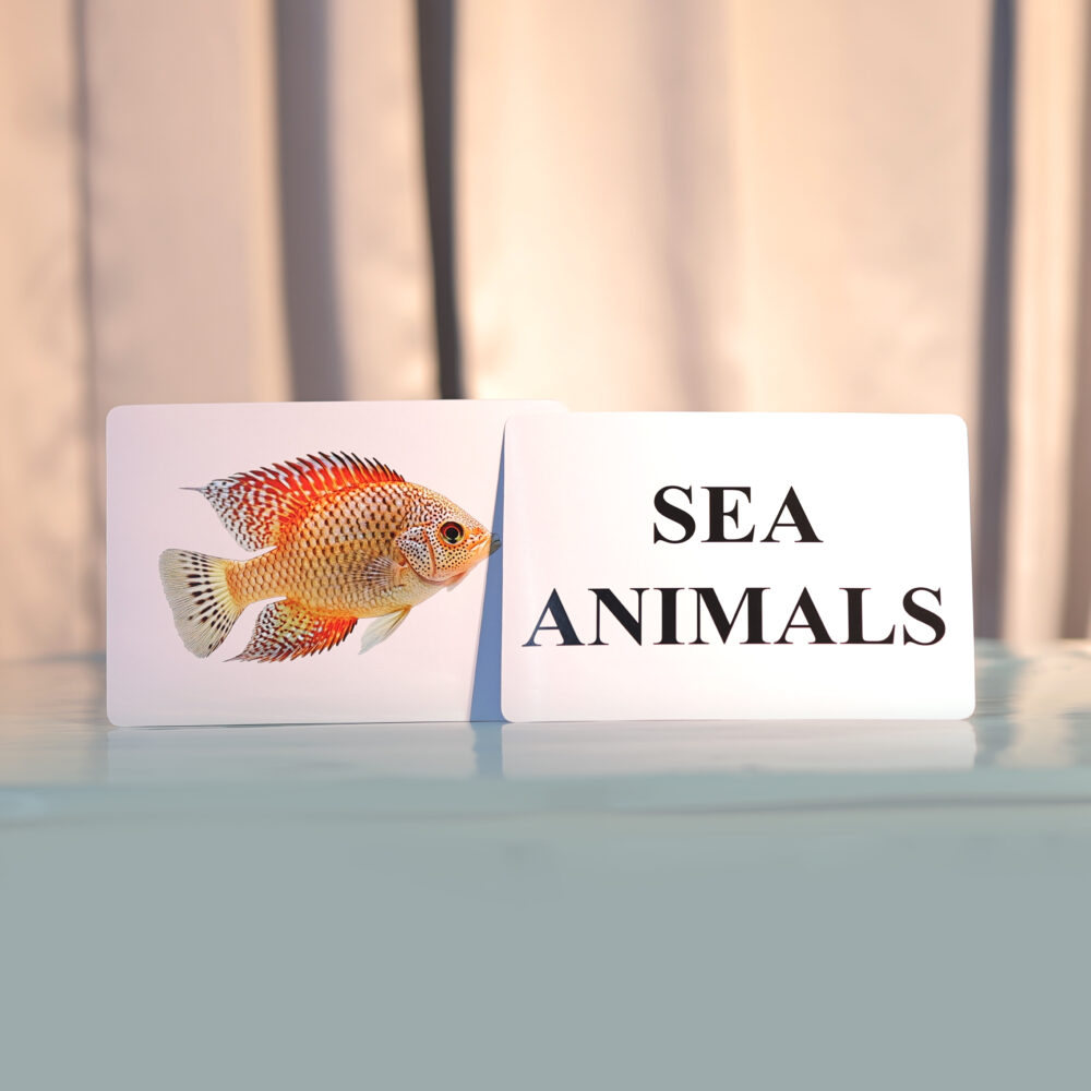 SEA ANIMALS - Image 2