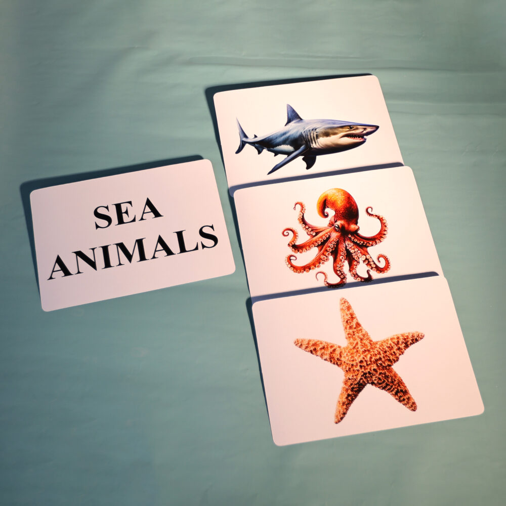 SEA ANIMALS - Image 3