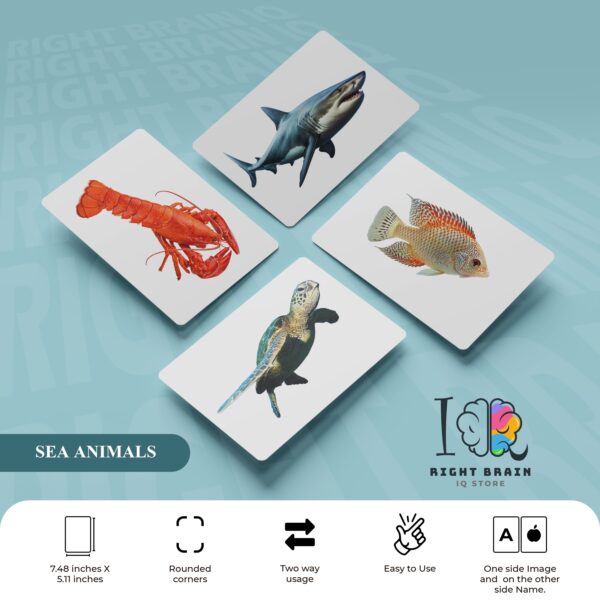 SEA ANIMALS