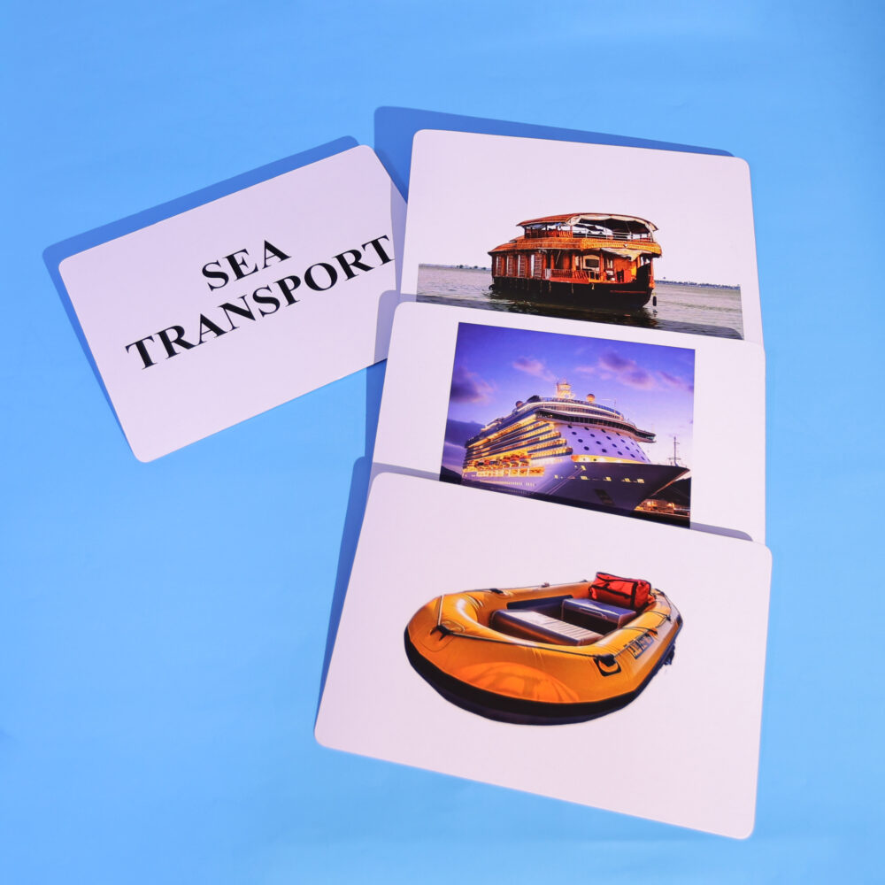 SEA TRANSPORT - Image 3