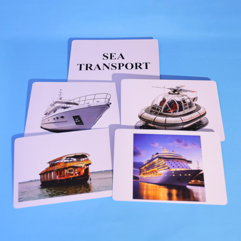 SEA TRANSPORT - Image 4