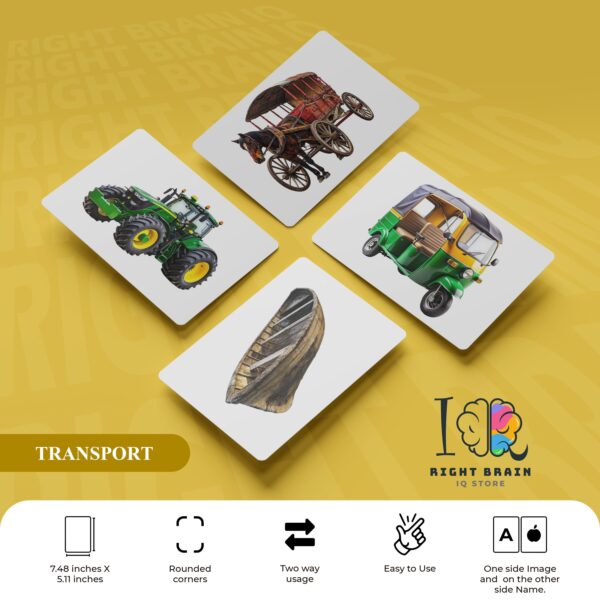 TRANSPORT