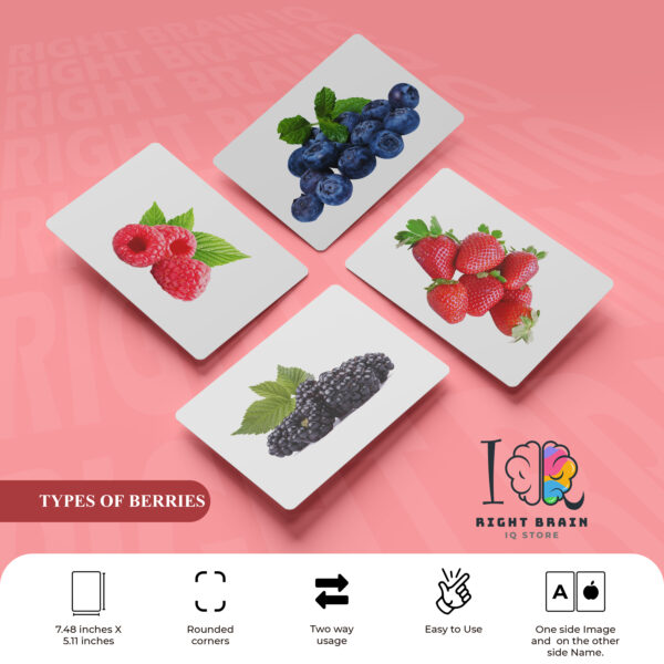 TYPES OF BERRIES