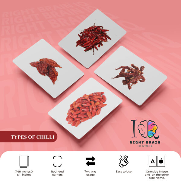 CHILLI VARIETIES