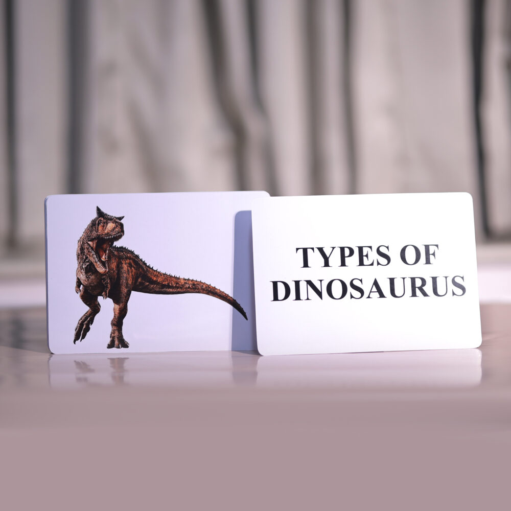 TYPES OF DINOSAURUS - Image 2