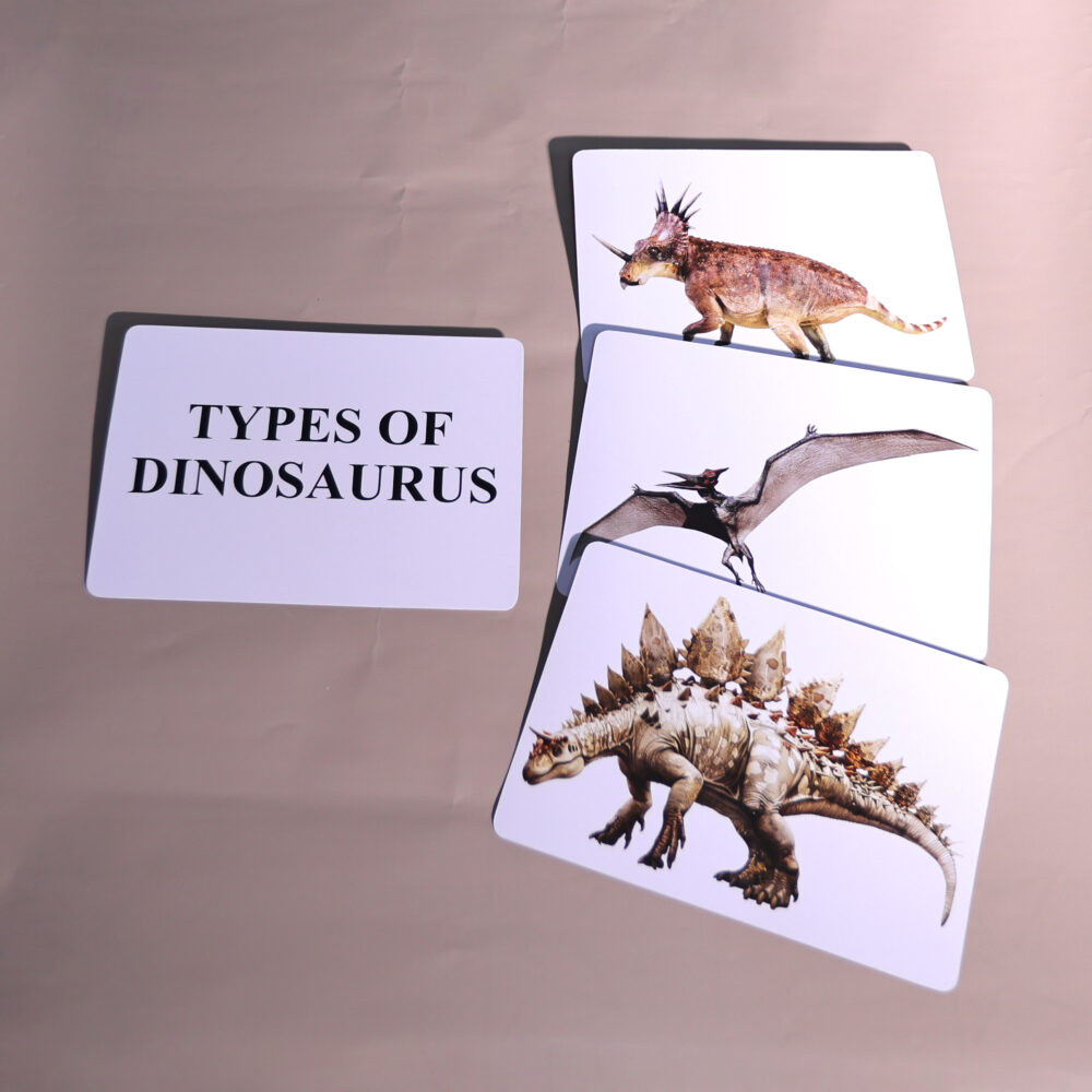 TYPES OF DINOSAURUS - Image 3