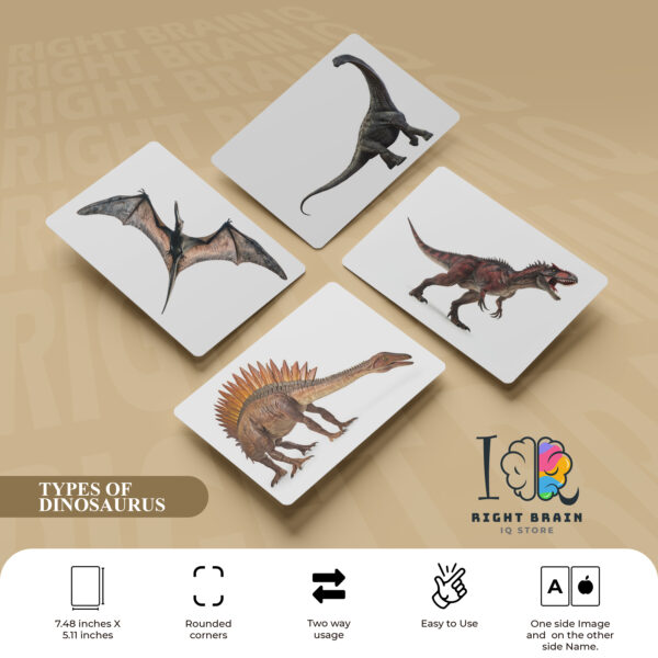 TYPES OF DINOSAURUS