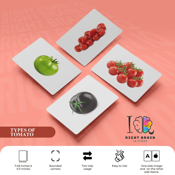 TYPES OF TOMATOES