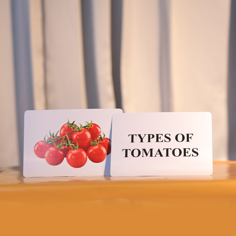 TYPES OF TOMATOES - Image 2