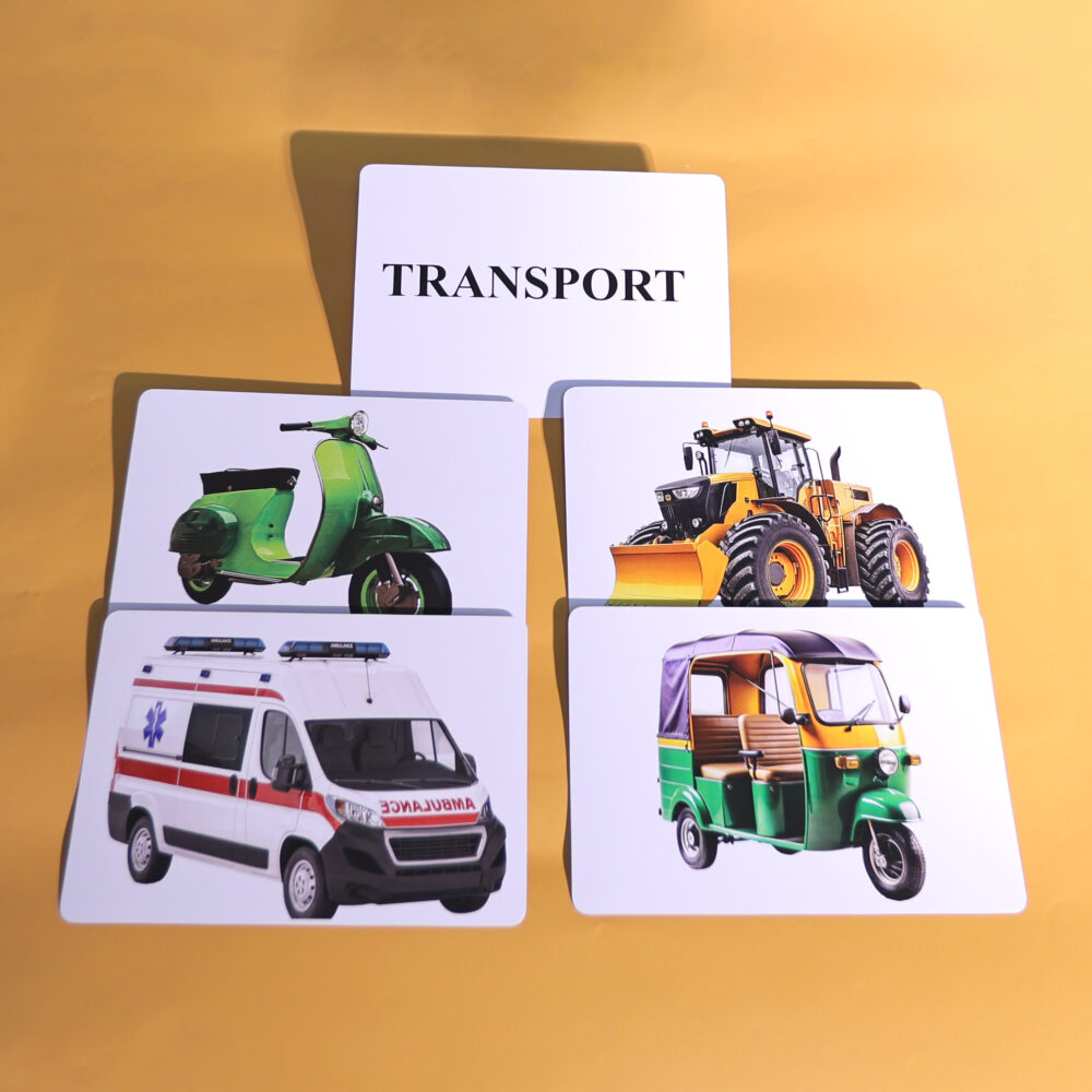 Transport - Image 4