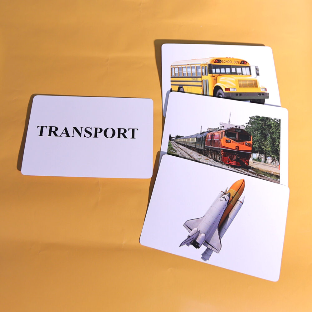 Transport - Image 3
