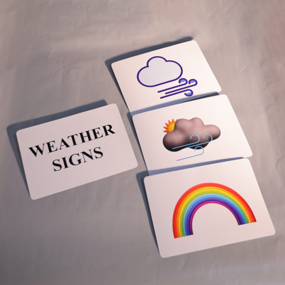 WEATHER SIGNS - Image 2