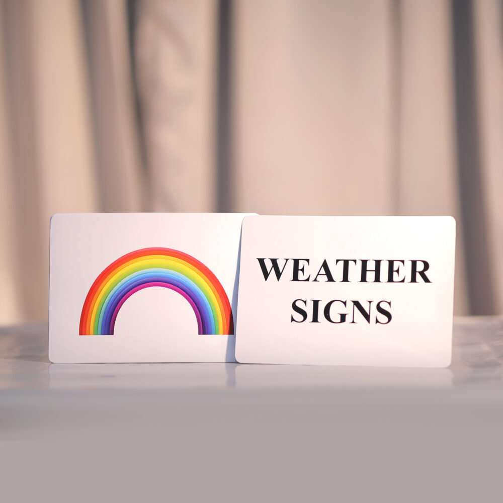 WEATHER SIGNS - Image 3