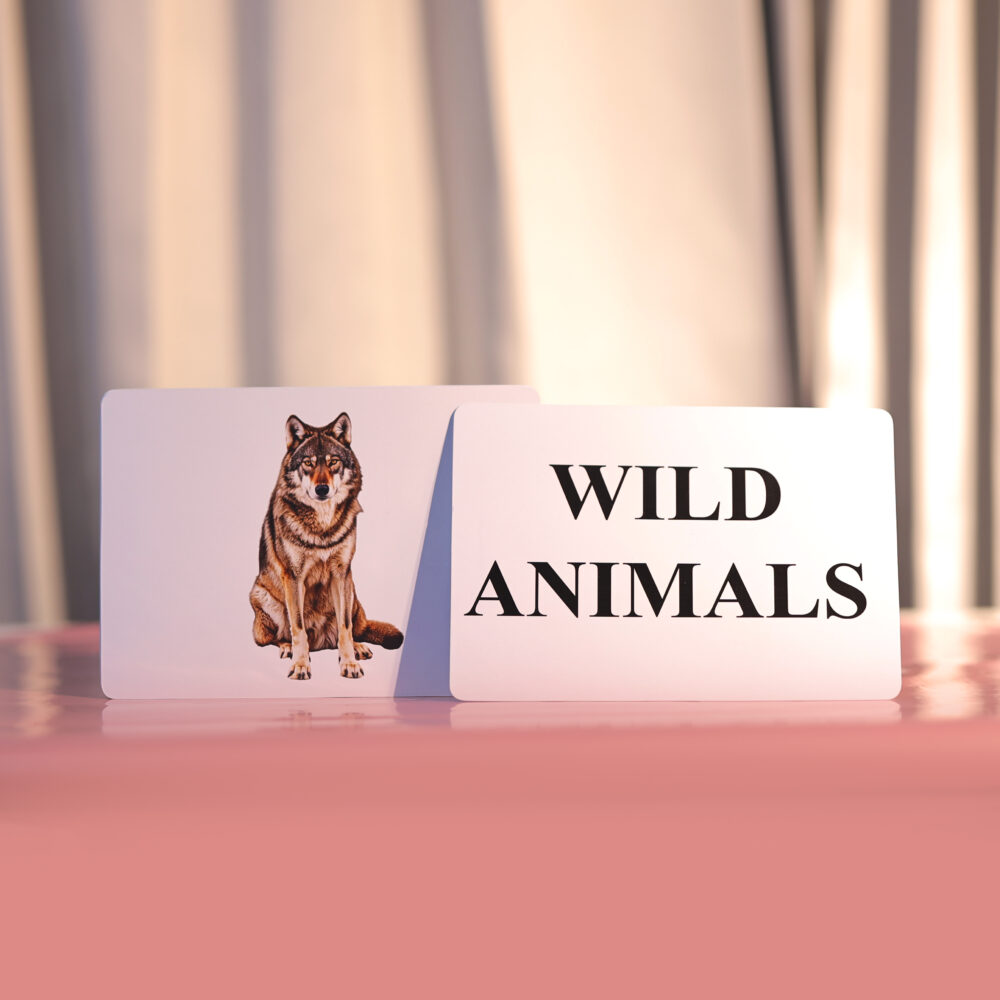 WILD ANIMALS - Image 2