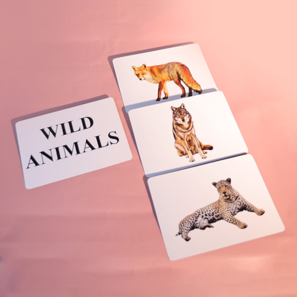 WILD ANIMALS - Image 3