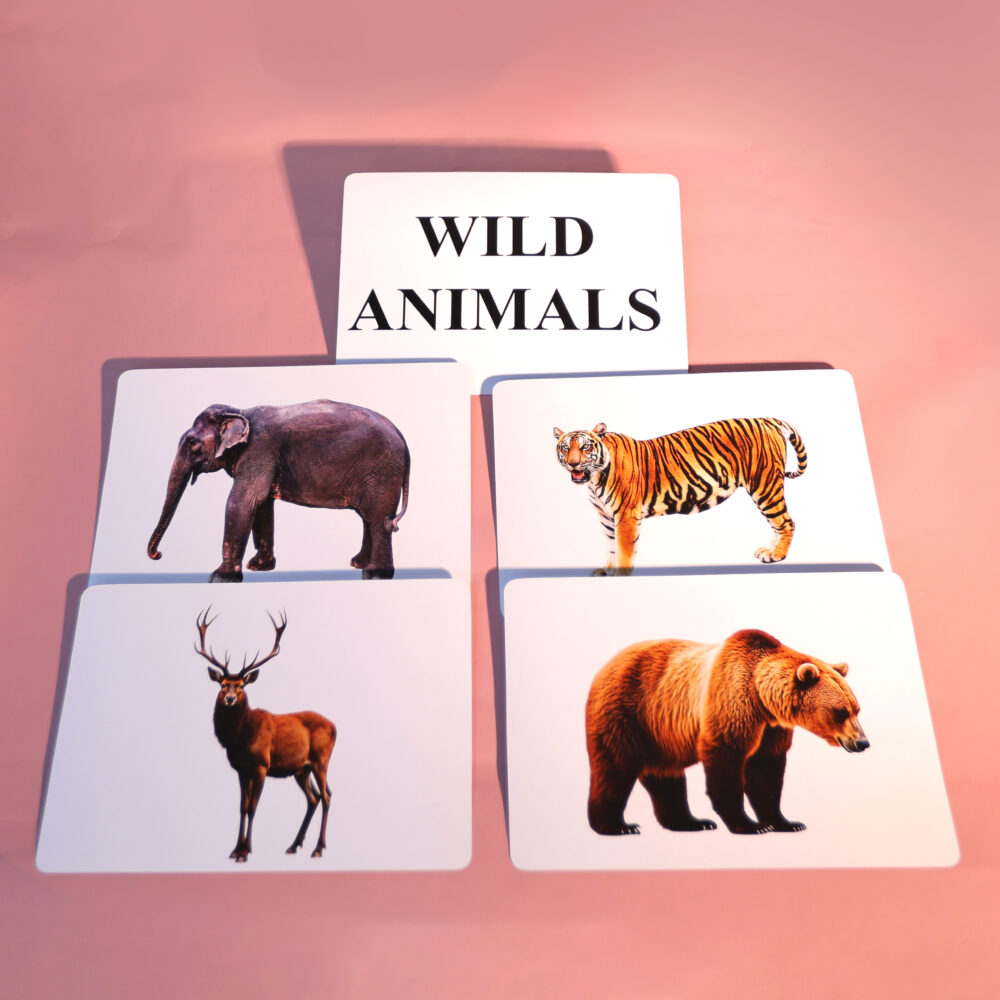 WILD ANIMALS - Image 4