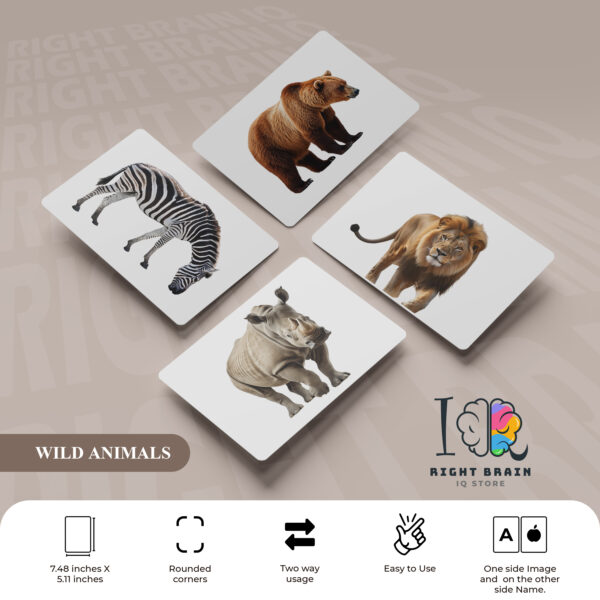 WILD ANIMALS