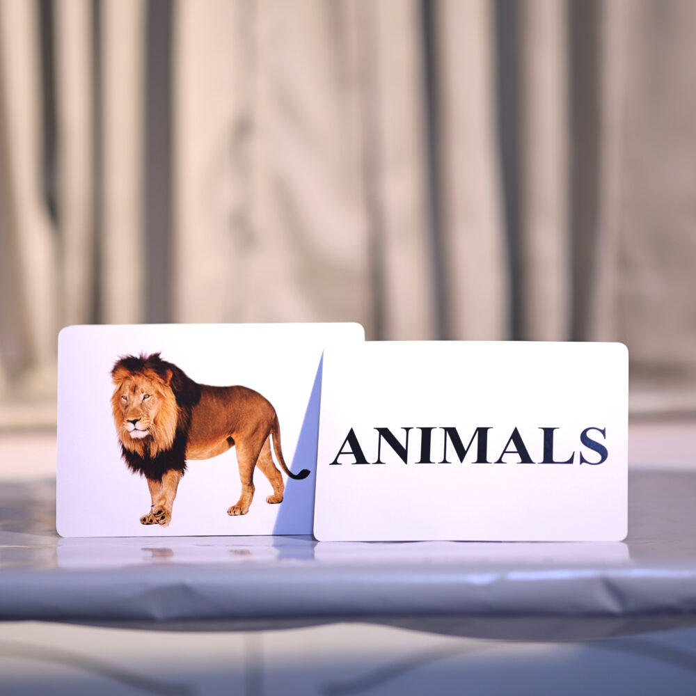 ANIMALS - Image 2