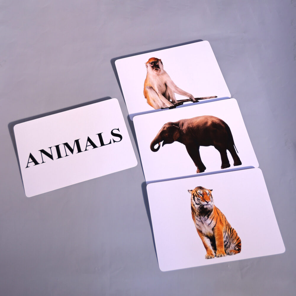 ANIMALS - Image 4