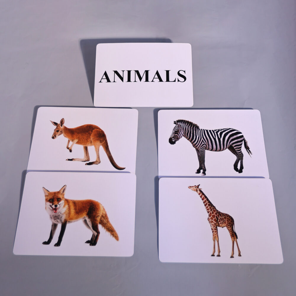 ANIMALS - Image 3