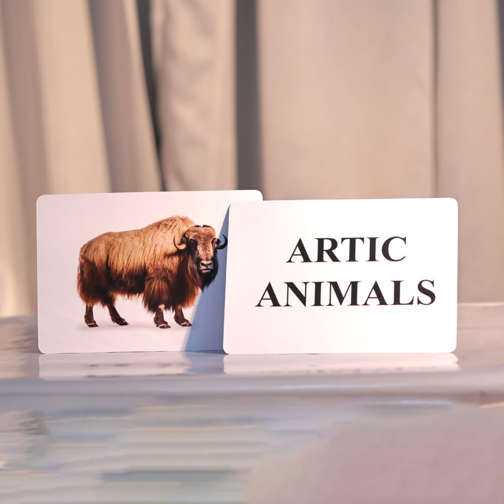 ARTIC ANIMALS - Image 2