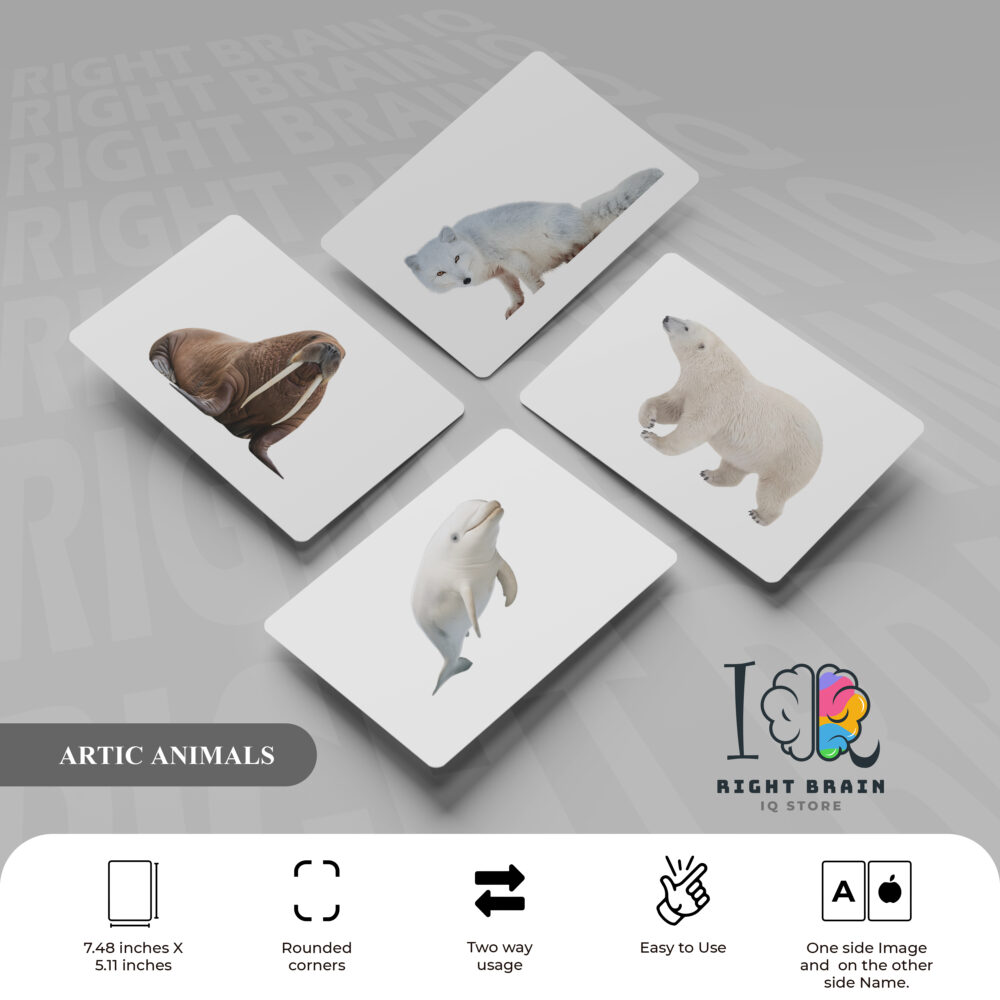 ARTIC ANIMALS