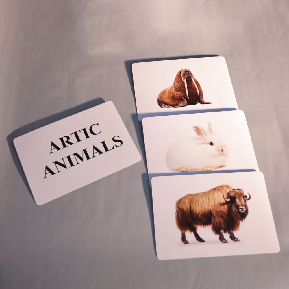 ARTIC ANIMALS - Image 4
