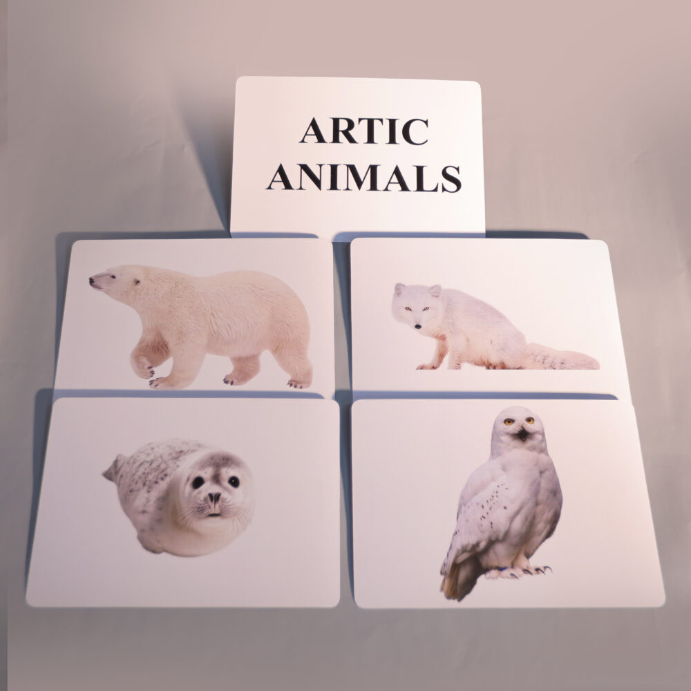ARTIC ANIMALS - Image 3