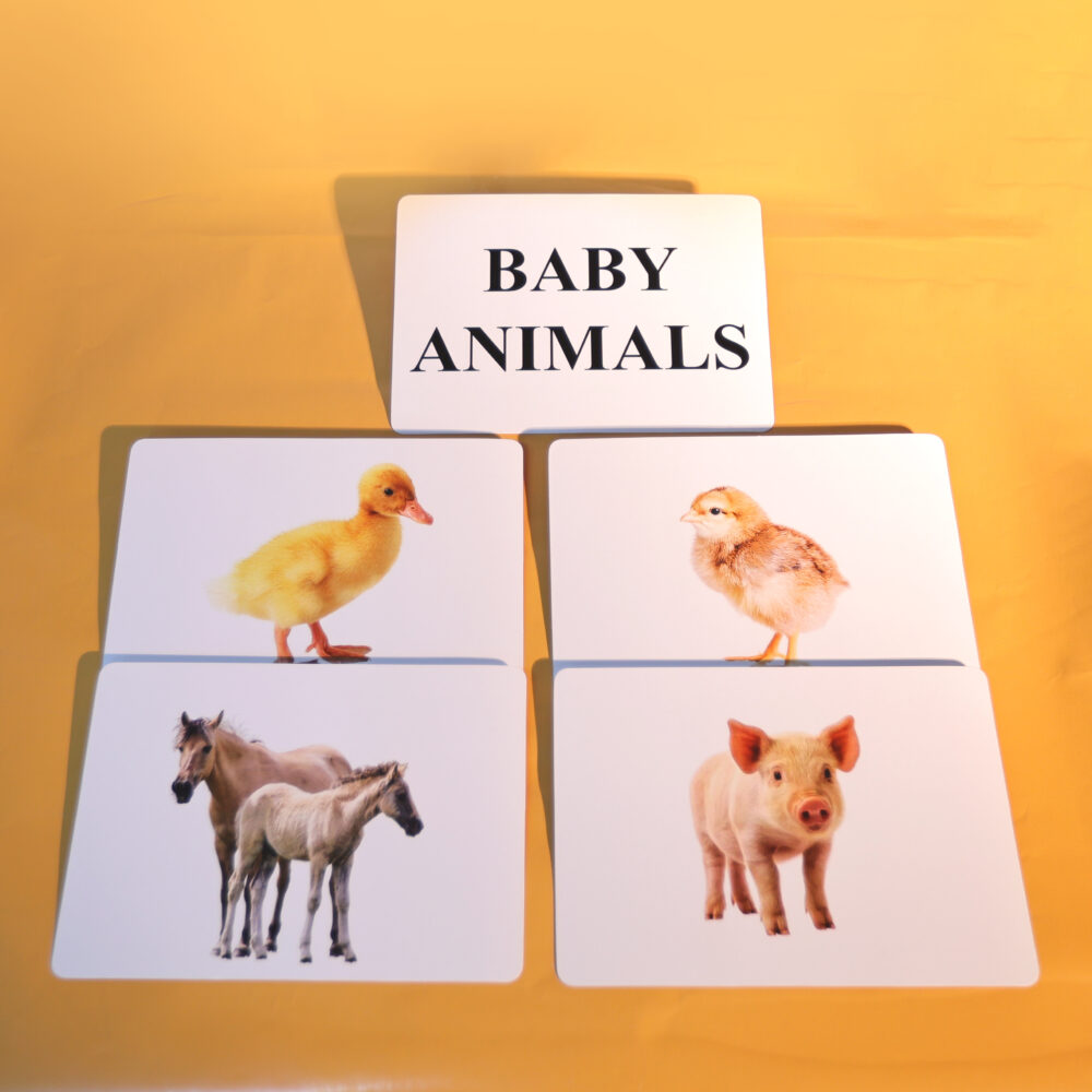 BABY ANIMALS - Image 3