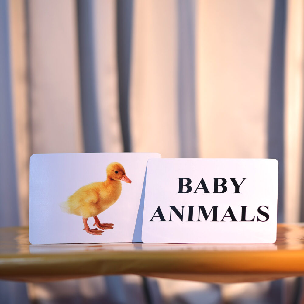BABY ANIMALS - Image 2