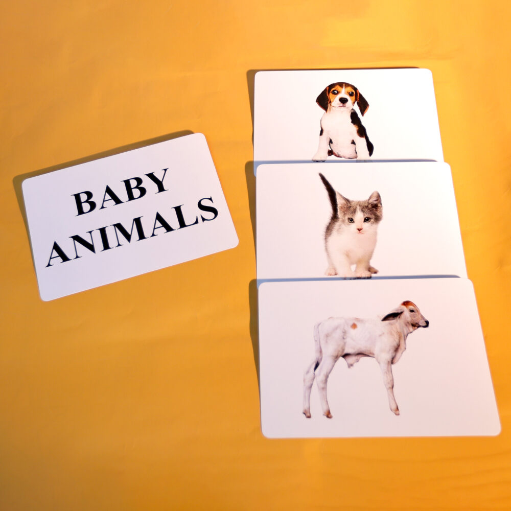 BABY ANIMALS - Image 4