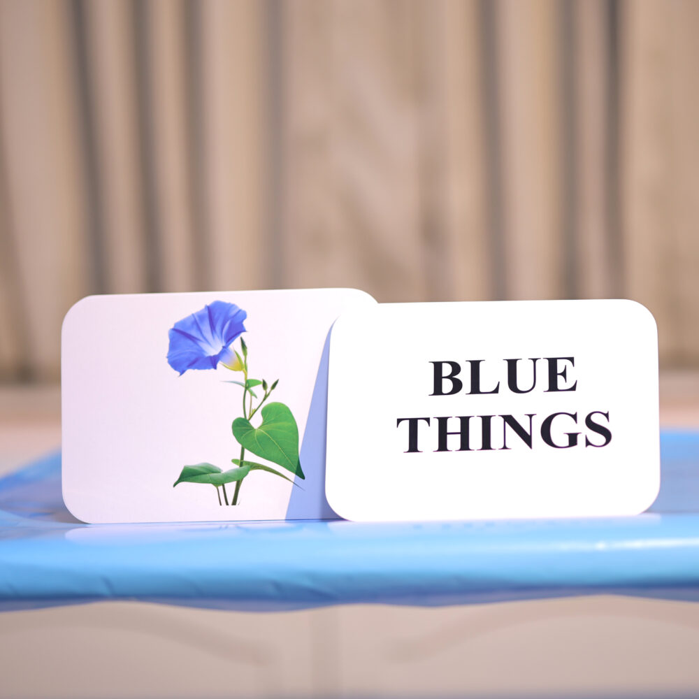 BLUE THINGS - Image 2