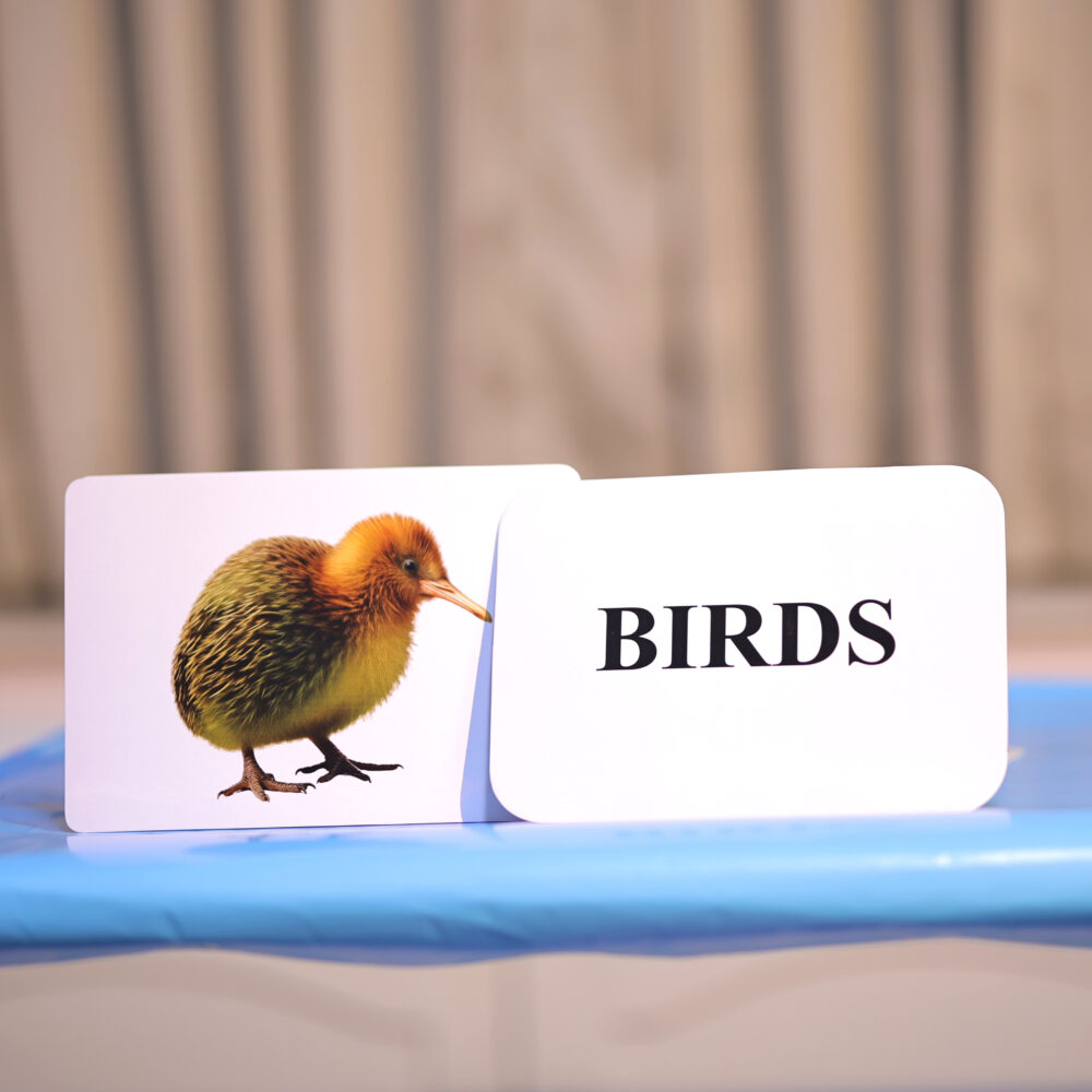 Birds - Image 2